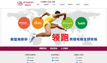 新蓝海跨境电商学院网站建设